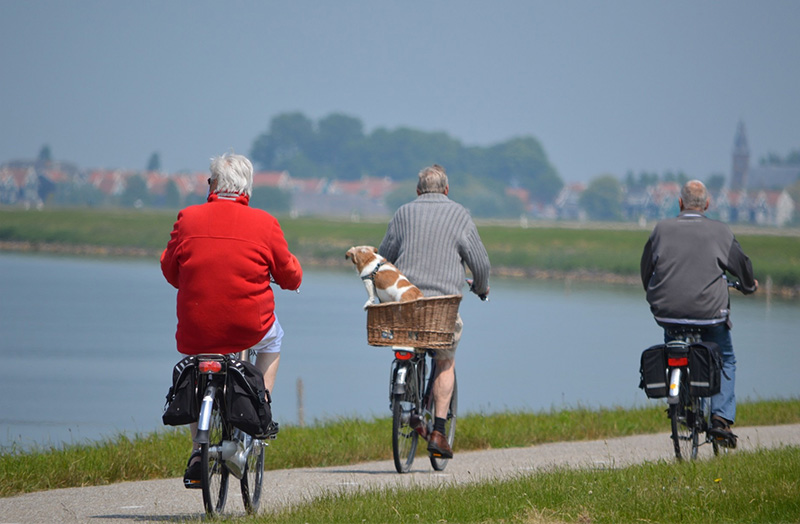 Starzy ludzie jadący na rowerach