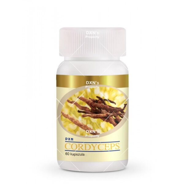DXN Cordyceps 60 kapsułek